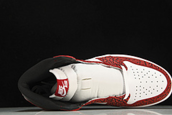 Air Jordan 1 RETRO HIGH OG DZ5485-061