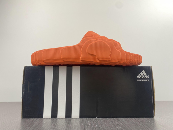 Adidas new colleettion  660202