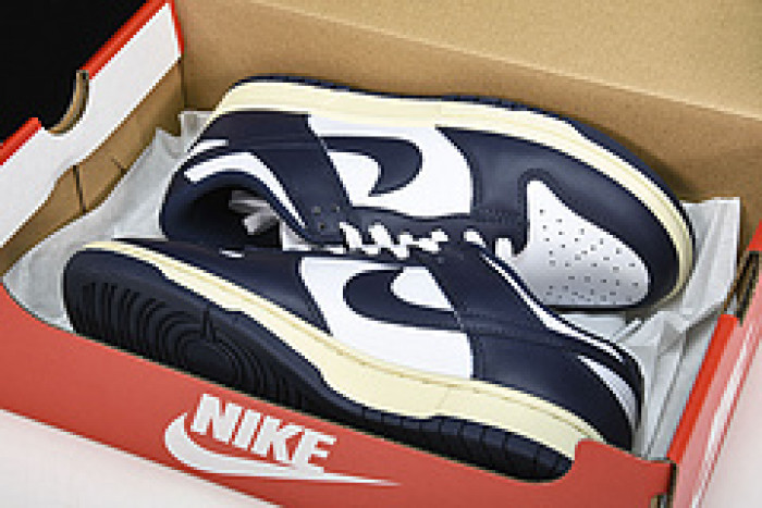 Nike Dunk Low DD1503-115