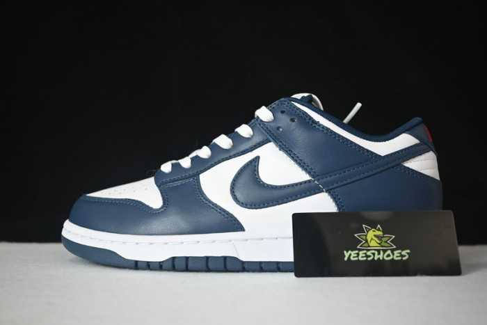 Nike dunk SB Low Retro Valerian Blue DD1391-400